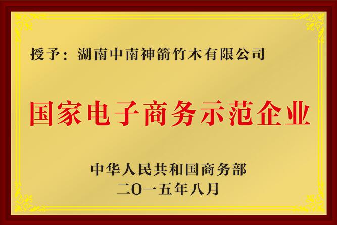 國家級電子商務示范企業—中南神箭