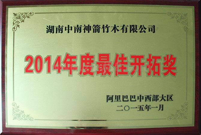 阿里巴巴中西部大區(qū)2014年度最佳開(kāi)拓獎(jiǎng)