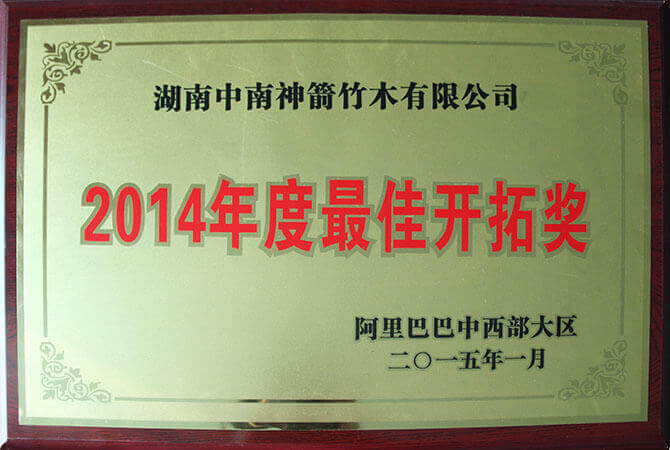 阿里巴巴中西部大區(qū)2014年度最佳開拓獎(jiǎng)