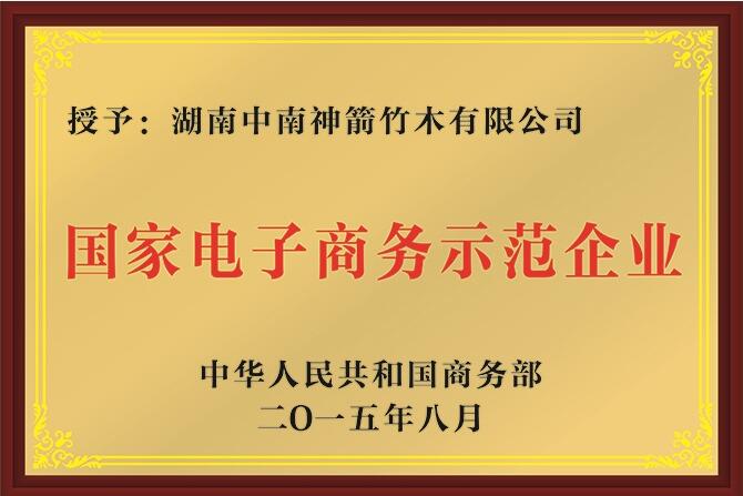 國家級(jí)電子商務(wù)示范企業(yè)—中南神箭